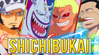 🔥 Die 7 SAMURAI der MEERE  SHICHIBUKAI in ONE PIECE Erklärt [upl. by Wren]