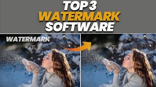 How To Remove Watermark From Videos Or Photos  Best Top 3 Watermark Remover [upl. by Maller320]