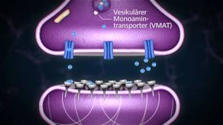 Methylphenidat  so funktioniert es [upl. by Mairam]