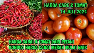 Harga cabai merah hari ini 14 Juli 2024  Info harga tomat dan cabai saat ini di Jawa Timur [upl. by Scharaga]