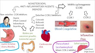 Understanding NonSteroidal AntiInflammatory Drugs NSAIDs in 3 minutes [upl. by Jenness]