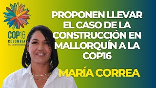 Proponen llevar el caso de la construcción en Mallorquín a la COP16  El Caimán Barranquilla [upl. by Qiratla]