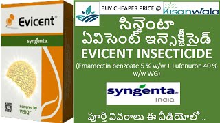 EVICENT INSECTICIDE FULL DETAILS IN TELUGU Emamectinbenzoate5Lufenuron40WG SYNGENTA EVICENT [upl. by Nickerson508]