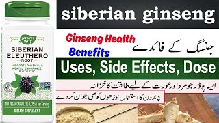 Siberian ginseng benefits in Hindi Uses Side effects Dosage sexually [upl. by Aket812]