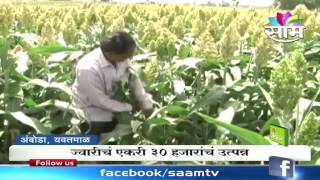 Amrut Deshmukhs sorghum jowar farming success story [upl. by Stefania]