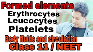 Tricks to learn easily the formed elements Ie erythrocytes Leucocytes and platelets human physio [upl. by Derag]