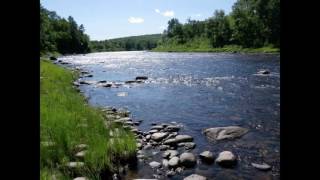 Scientific research overview of Atlantic Salmon Dr Rick Cunjak UNB amp CRI [upl. by Hudnut197]