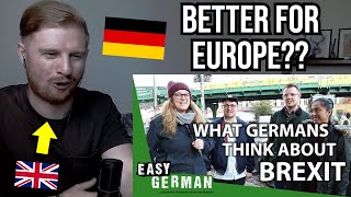 Reaction To What Germans Think About Brexit [upl. by Golding]