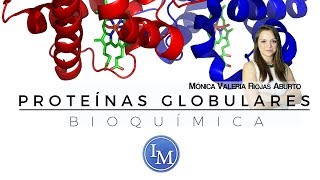 Bioquímica  Proteínas Globulares [upl. by Arabela]