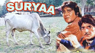 Surya 1989 best dialogue  Amrish Puri movie  Rajkumar  Surya filme hindi scene comedy [upl. by Wakefield]