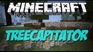 Minecraft Mod ShowcaseTreecapitator 1710 [upl. by Joung688]