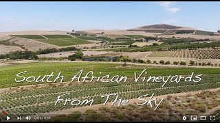 South African Vineyards From The Sky [upl. by Elisabet175]