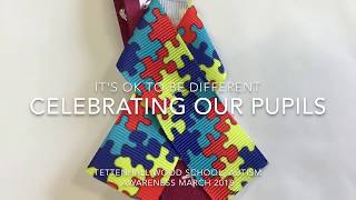 Tettenhall Wood School  Autism Video 2018 [upl. by Lehplar]