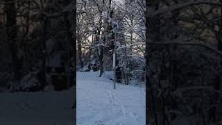 Winter Idyll in Mering Bayern  Zimska idila u Meringu Bavarska [upl. by Rhiamon]