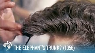 The Elephants Trunk 1950s Mens Hair Styles 1956  British Pathé [upl. by Annavoig576]