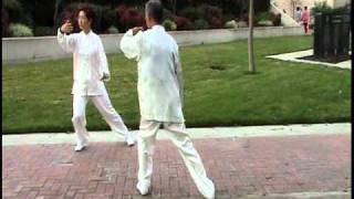 Two people mirror Tai Chi form 8 [upl. by Aneeles]