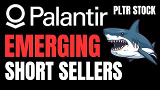 PALANTIR STOCK Price ANALYSIS PLTR STOCK TARGETS [upl. by Bubalo]