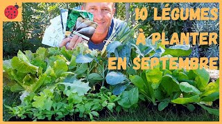 10 légumes à planter en septembre au potager [upl. by Gerhard967]