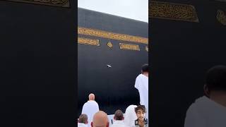 Wo Mera Nabi Mera Nabi Hai😭😭 shorts love beautiful explore makkah kaba shortvideo trending [upl. by Fernando]