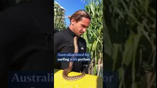 Australian fined for surfing with python [upl. by Iphigenia453]