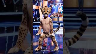 A Baby Performs a Fusion with Cheetah on AGT americagottalent agt magic talent shorts [upl. by Nyliram570]