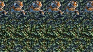 Animal Attraction 🐱  3D Stereogram Illusions [upl. by Ardnosak325]