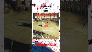 1995 Boomerang  Bird boomerangband bandrockindonesia fypyoutube fypシ゚viral fyp fypage [upl. by Gentille]