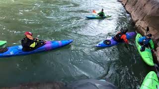 Grand Canyon Colorado swims [upl. by Tivad]