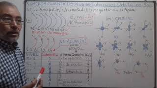 Números cuánticos Niveles y subniveles de energía Orbital Spin [upl. by Aneryc]