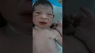 Cute born vernix baby just after birth eyes movments so sweetcute baby shorts shortvideo [upl. by Nerrad]