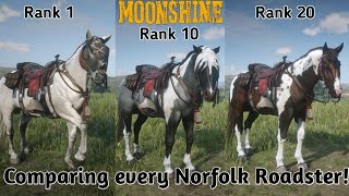 Which Norfolk Roadster is the bestRDR2 Online [upl. by Medrek381]