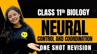 Neural Control and Coordination Biology  Class 11th Biology One Shot Revision By Sonam Maam [upl. by Elia]