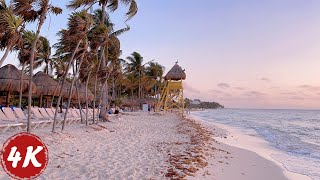 Beautiful Sunrise Walk  Grand Riviera Princess Resort Riviera Maya Mexico  4K 60fps [upl. by Blaseio297]