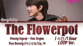 1시간1 Hour LOOP Hwang Inyeop 황인엽 The Flowerpot Cover Ep 14 True Beauty Lyrics가사 HanRomEng [upl. by Ecadnarb]