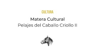 CULTURA Matera Pelajes del Caballo Criollo II Los modificados albinos y albinoides [upl. by Retsila882]