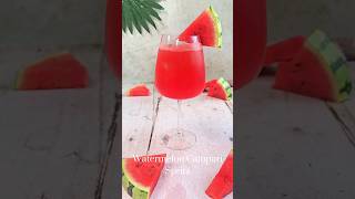 Campari Watermelon Spritz Cocktail Recipe by The Ice Co [upl. by Notnek]