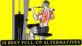 12 Best PullUp Alternatives for a Stronger Wider Back [upl. by Alpers]