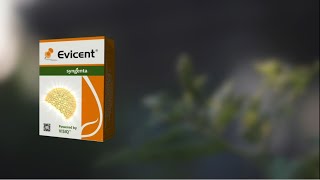 Evicent TVC Telugu  2022  Syngenta [upl. by Nowd]