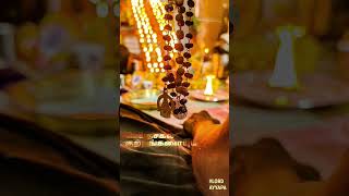 Arinthum ariyamalum Ayyappan songs sabarimala songs [upl. by Nnasor473]