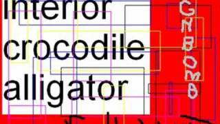 interior crocodile alligator FULL SONG [upl. by Con]