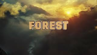 The Forest I Title Opener for After Effects 2024 [upl. by Derek]