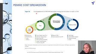 L MendizabalHIPIMSThin Films for Green Hydrogen Production by PEMWE An Outlook for HIPIMS Tec [upl. by Nyasuh]