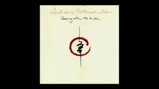 Andreas Vollenweider  Dancing with the lion Full album [upl. by Mariquilla897]