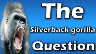 Creature Talk Stories Ep8 The Silverback Gorilla Question [upl. by Desmund975]