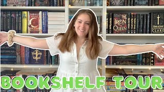 The Bookshelf Tour 2024 [upl. by Frentz]