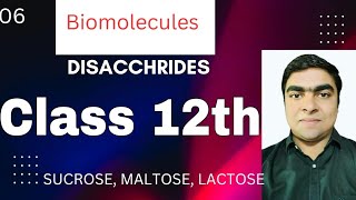 Biomolecules Class 12th DISACCHRIDES  Sucrose Maltose amp Lactose [upl. by Lilla]