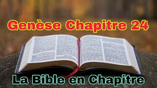 Genese Chapitre 24 [upl. by Buerger859]