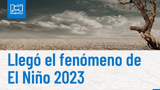 Fenómeno del Niño cómo afectará a los colombianos [upl. by Mayeda]