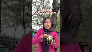 Ciki ciki berhadiah pesawat kreatif comedy lucu tips hiburan shortvideo [upl. by Oicneserc268]