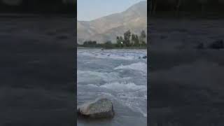 River View l Nature View shorts viralvideo viralshorts [upl. by Tracie]